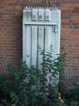 Christiaan Bruningsstraat (thv Cornelis Lelylaan)
              <br/>
              Herman Wals (Wiesje), 2020-03-14